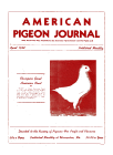 Magazine Cover